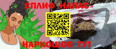 эйфоретик Дубна