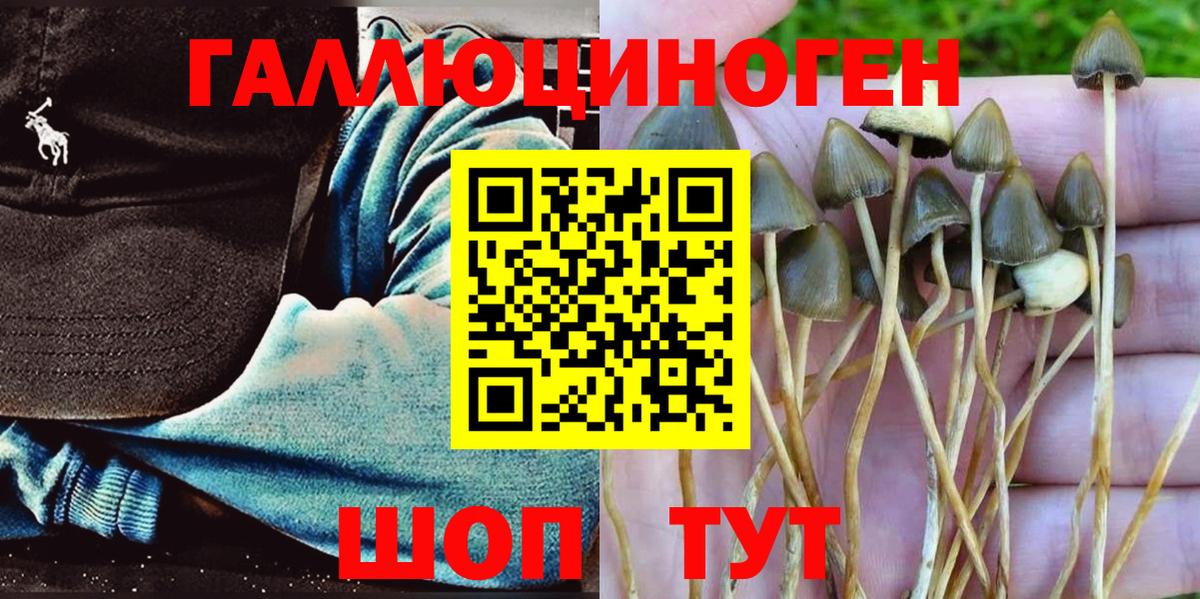 Галлюциногенные грибы ЛСД  Галлюциногенные грибы GOLDEN TEACHER  Вход с VPN  Карасук 